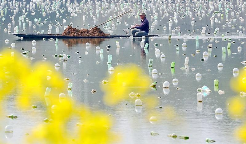 3月14日,在浙江省湖州市德清县新安镇下舍村,水产养殖户在珍珠蚌养殖